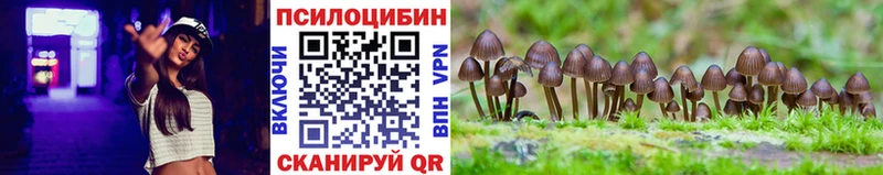 мега ССЫЛКА  Москва  Галлюциногенные грибы мицелий  где продают  